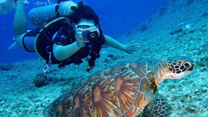 Marine Biology Capstone Research Fund