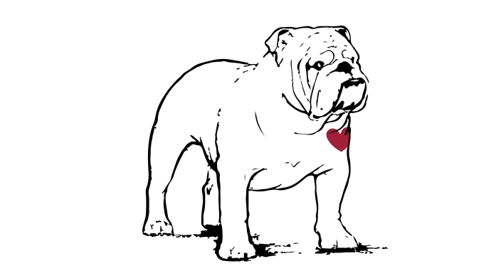 Better Health Bulldogs